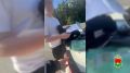 ��� �������� ������� ����������� ����� ���� �������� ���������, ���������� � ������� 3,5 ��� ������