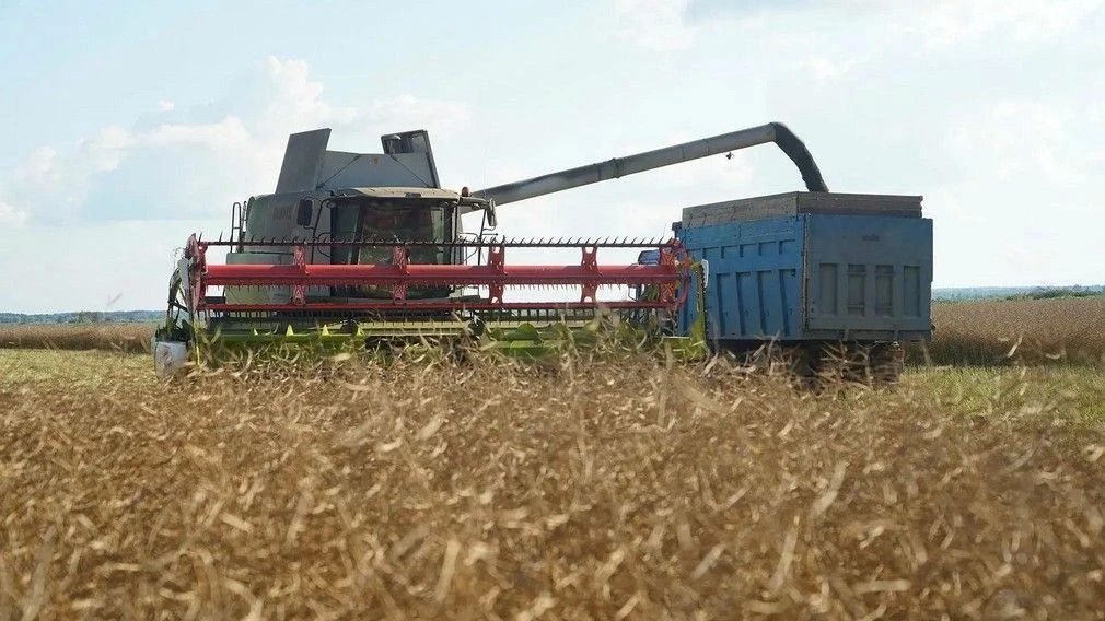 Сельхозпроизводители региона приступили к уборочной кампании