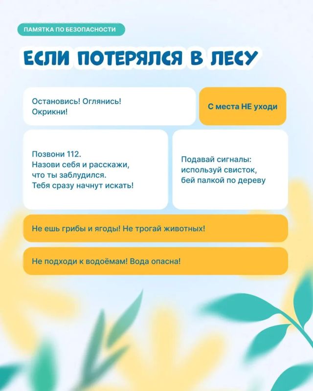 Лето — время прогулок, игр и новых впечатлений Лето — время прогулок, игр и новых впечатлений