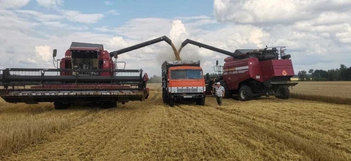 В Брянской области стартовала уборочная кампания В Брянской области стартовала уборочная кампания