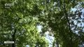 �� ��� ������ - 163 ��������, � 825 - � ������ ����