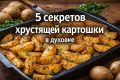 Как запечь картошку в духовке с хрустящей корочкой: 5 полезных советов