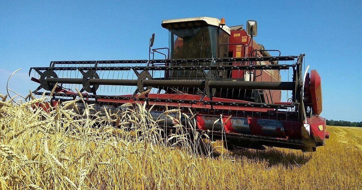Егор Ковальчук: Урожай зерновых и картофеля в этом году будет выше, чем в прошлом Егор Ковальчук: Урожай зерновых и картофеля в этом году будет выше, чем в прошлом