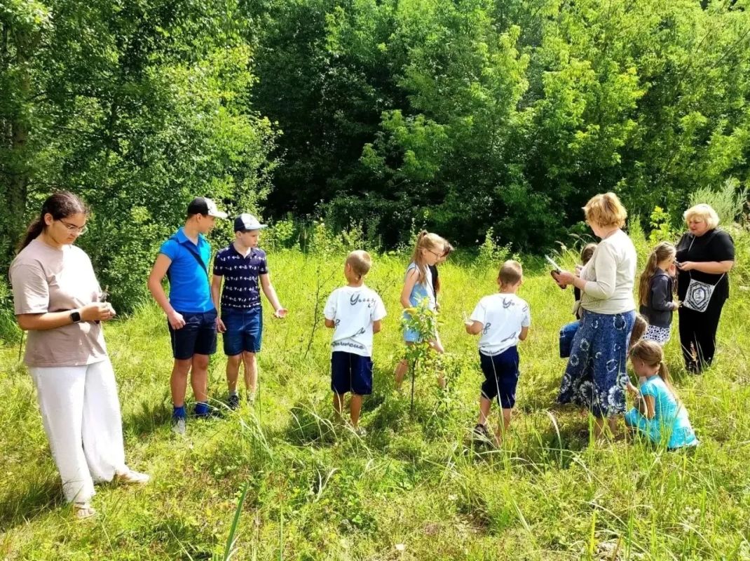 В преддверии Дня фольклора состоялась беседа «Лечебные травы лугов» в Доме культуры п.Большое Полпино В преддверии Дня фольклора состоялась беседа «Лечебные травы лугов» в Доме культуры п.Большое Полпино
