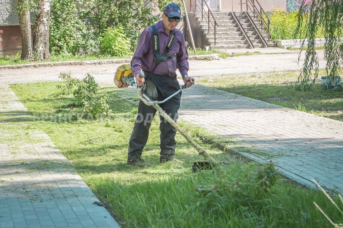 В сквере Металлургов высадили 35 клёнов В сквере Металлургов высадили 35 клёнов