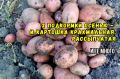 Эффективная осенняя подготовка грядок под картошку: секреты агрономов