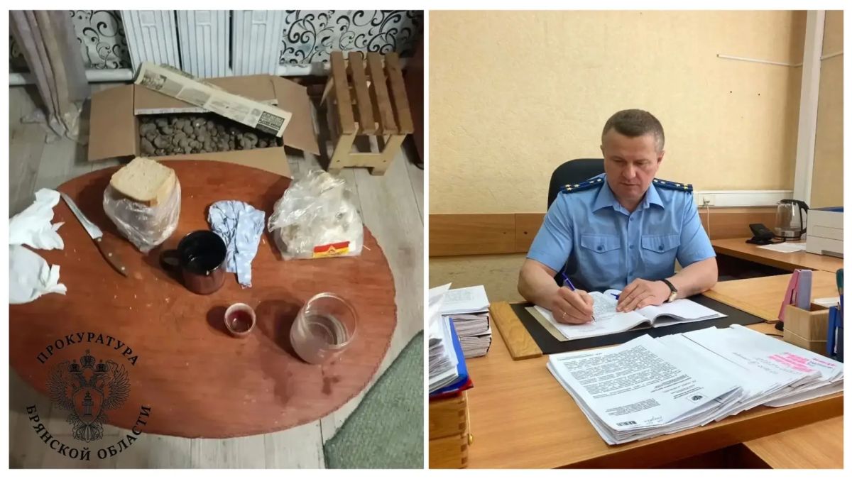 Жительница Выгоничского района отправлена на скамью подсудимых по обвинению в убийстве сожителя