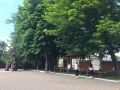 А ВЫ УЖЕ ПОСЕТИЛИ ЭКСКУРСИЮ В ПАРКЕ-МУЗЕЕ?