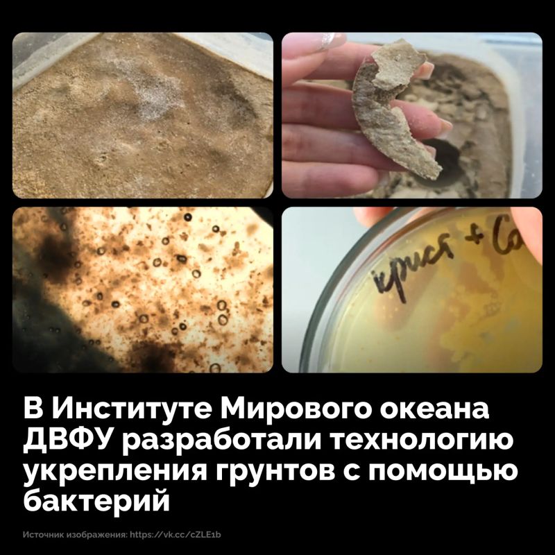 Ученые Дальневосточного федерального университета создали технологию, позволяющую укреплять грунт с помощью бактерий