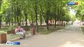В Брянске стартовал марафон "Лето добрых дел первых"