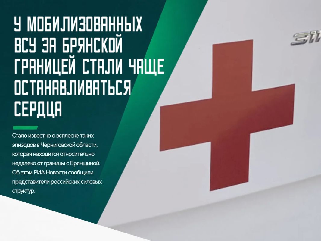 Речь о новобранцах вражеской армии предпенсионного возраста