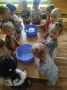 Мы с водичкой поиграем, о водичке все узнаем! 22 июля 2026 года в МБДОУ-детский сад №20 «Теремок» первой младшей группе, прошел день водных ресурсов