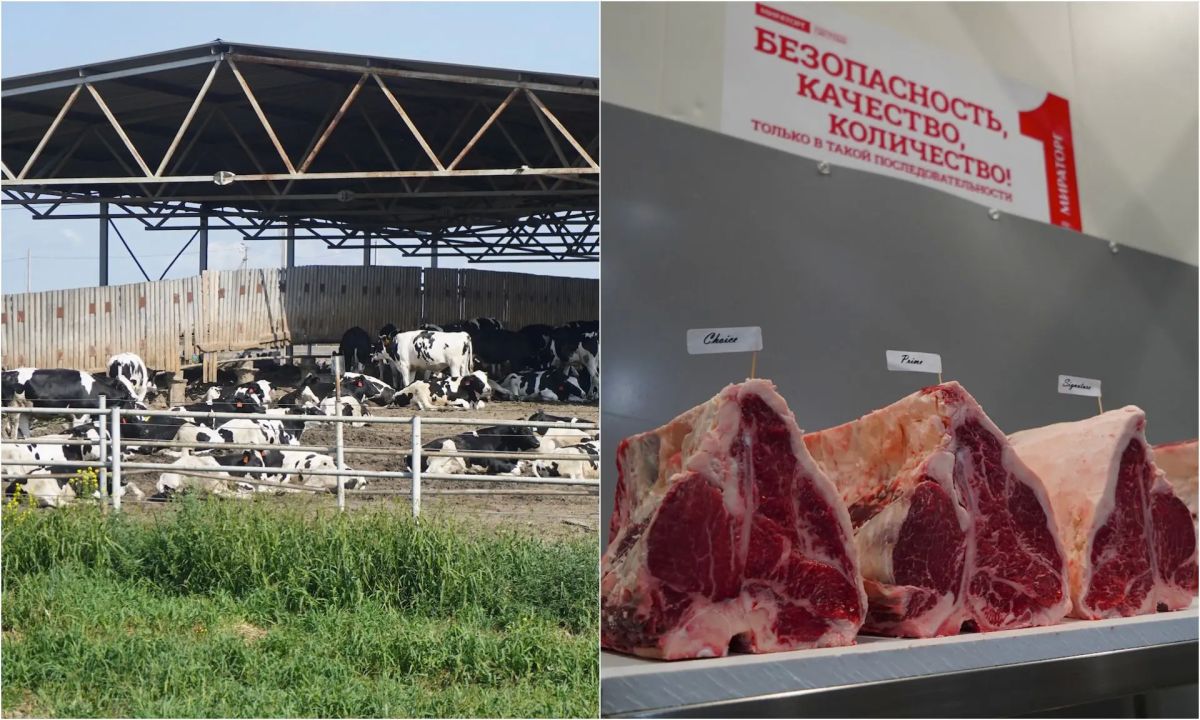 Врио Губернатора Брянской области Егор Ковальчук посетил производственную площадку компании «Мираторг» Врио Губернатора Брянской области Егор Ковальчук посетил производственную площадку компании «Мираторг»