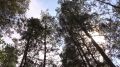 ���� ������� �������� ������� ������ � ���� ����� ������ ������� � �������
