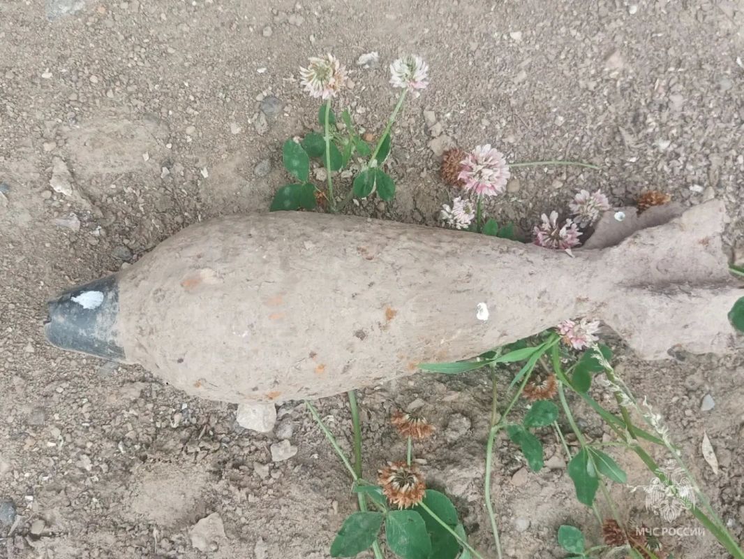 В Рогнединском и Навлинском районах обезврежены взрывоопасные предметы времен Великой Отечественной войны