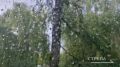 Завтра, 30 июля, синоптики прогнозируют облачную погоду
