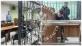 Обвиняемый в убийстве знакомого житель п. Мичуринский с учетом позиции прокуратуры заключен под стражу