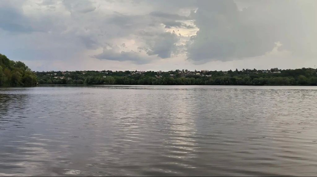 В Десну под Брянском выпустили более 30 тысяч мальков стерляди