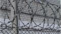 Супругов из Брянска осудят за попытку сбыта синтетических наркотиков