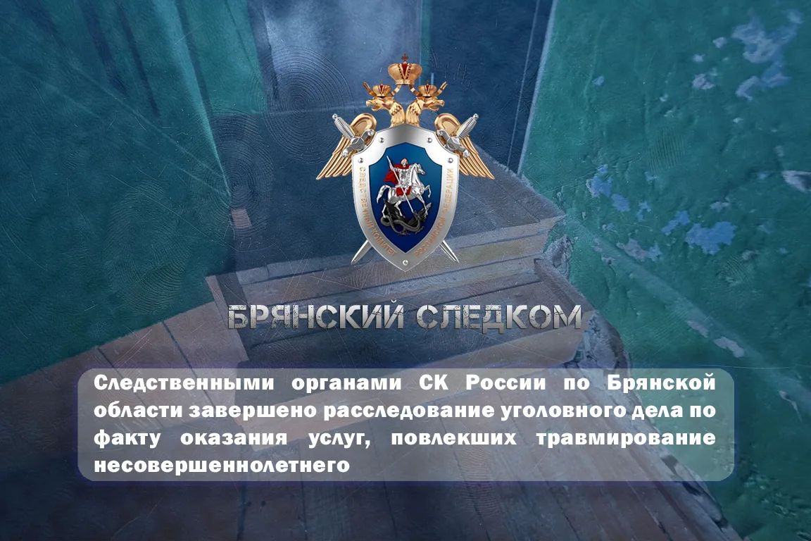 Следственными органами СК России по Брянской области завершено расследование уголовного дела по факту оказания услуг, повлекших травмирование несовершеннолетнего