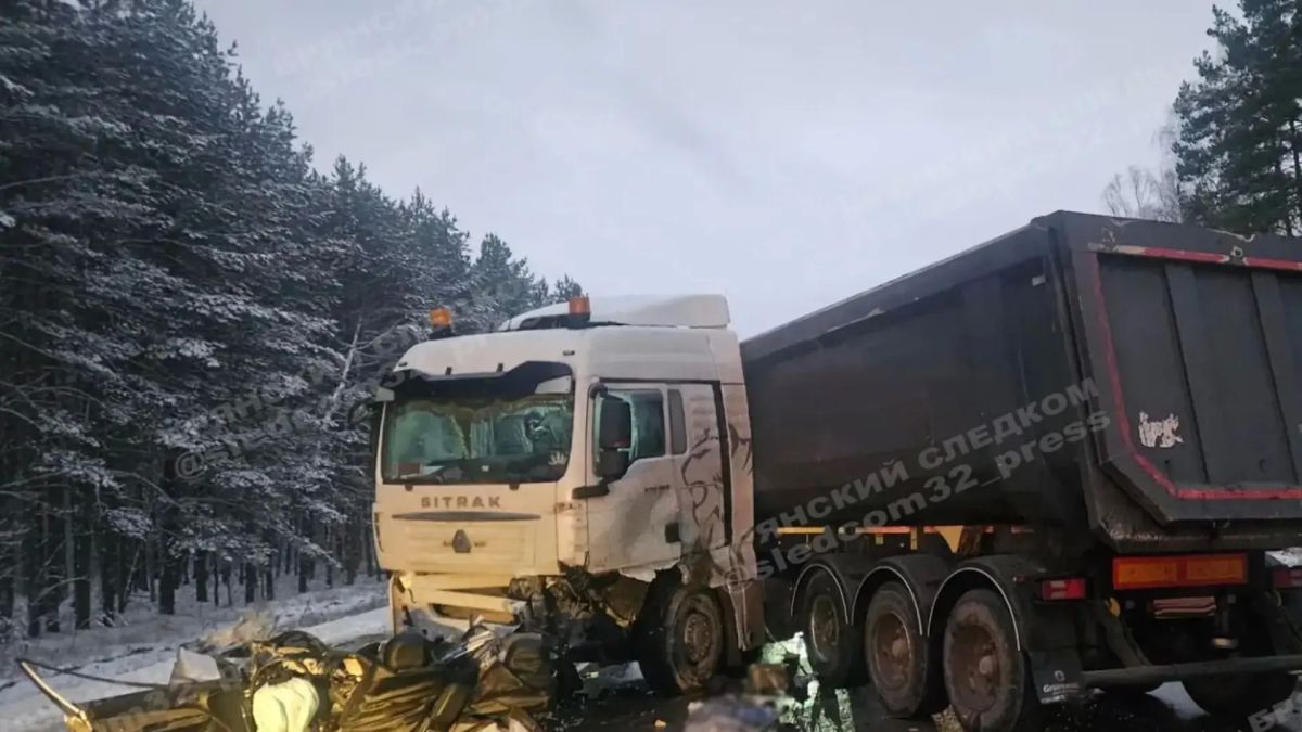 Житель Брянска ответит в суде за гибель трех человек в страшной аварии на М-3