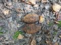 � �������� ������ ���������� ��� ������ ������� ������������� �����