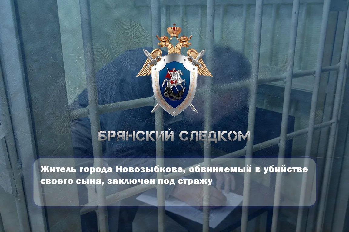 Житель города Новозыбкова, обвиняемый в убийстве своего сына, заключен под стражу