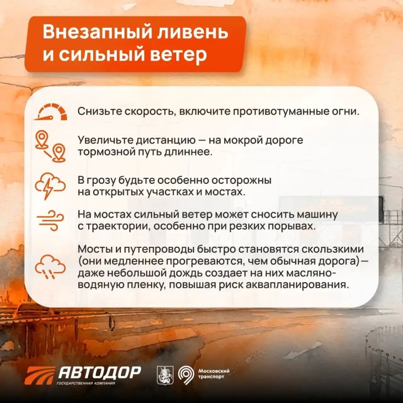 Солнце, ливень, сильный ветер — летняя погода может меняться за считанные минуты Солнце, ливень, сильный ветер — летняя погода может меняться за считанные минуты