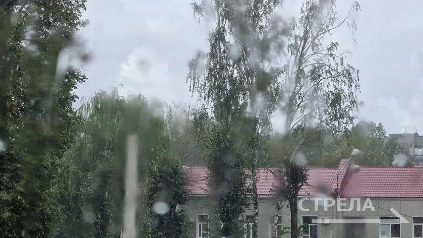 Завтра, 8 августа, в Брянской области синоптики прогнозируют облачную погоду с прояснениями