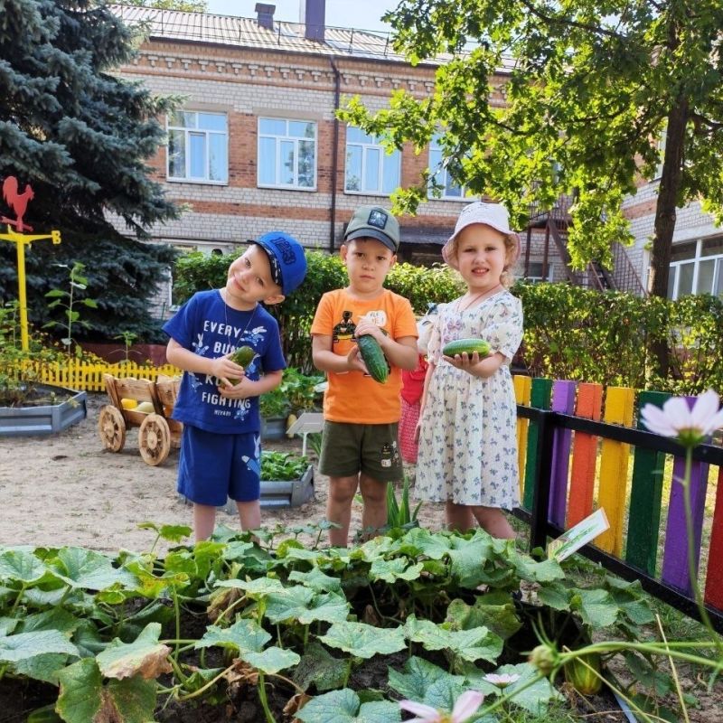 Юные агрономы: расцветает огород в МБДОУ – детский сад присмотра и оздоровления № 32 «Сказка»! Юные агрономы: расцветает огород в МБДОУ – детский сад присмотра и оздоровления № 32 «Сказка»!