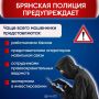 За неделю 17 жителей Брянской области стали жертвами телефонных и сетевых мошенников