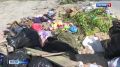 Жителям Брянской области напомнили правила складирования отходов в местах бестарного сбора