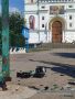 Дрон ВСУ ударил по территории храма в городе Каменка-Днепровская, в момент атаки там находилась семья священника с маленькими детьми, сообщили власти