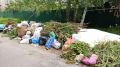 Жителям Брянской области напомнили правила складирования отходов в местах бестарного сбора