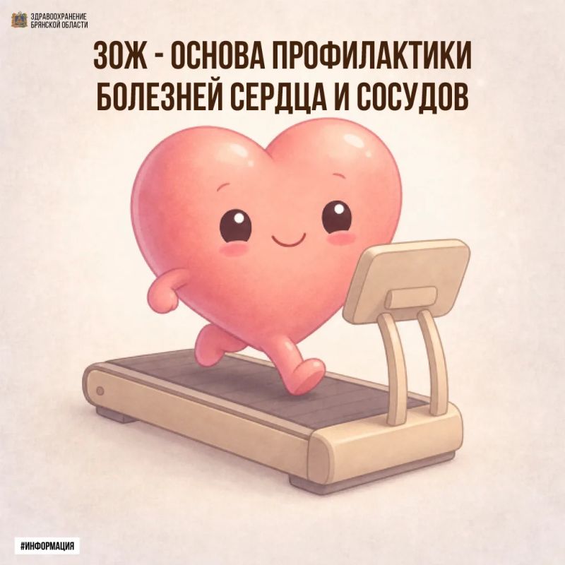Здоровый образ жизни — основа профилактики сердечно-сосудистых заболеваний
