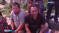 На частных подворьях Брянска проживает около семидесяти пяти лошадей