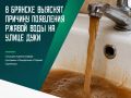 О проблеме рассказал председатель ТСН «Соловьи» Юрий