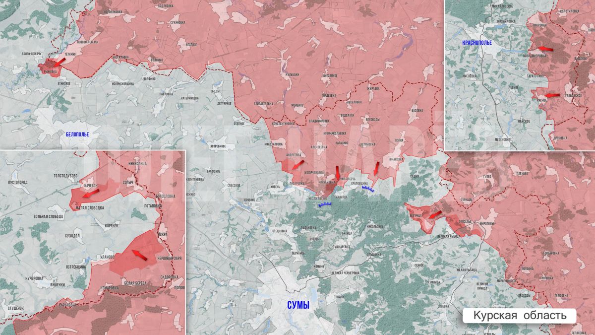 Олег Царёв: Фронтовая сводка 14 августа Олег Царёв: Фронтовая сводка 14 августа