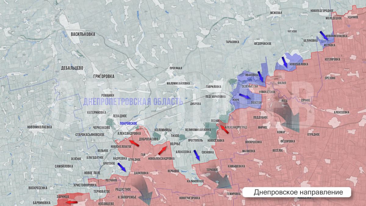 Олег Царёв: Фронтовая сводка 14 августа Олег Царёв: Фронтовая сводка 14 августа