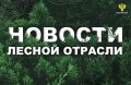 ����: � ������������ ���� ������� ������ ������� �� �������� ����������� �� 45 ���