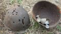 Брянские поисковики установили имя красноармейца, погибшего в Жуковке в годы ВОВ