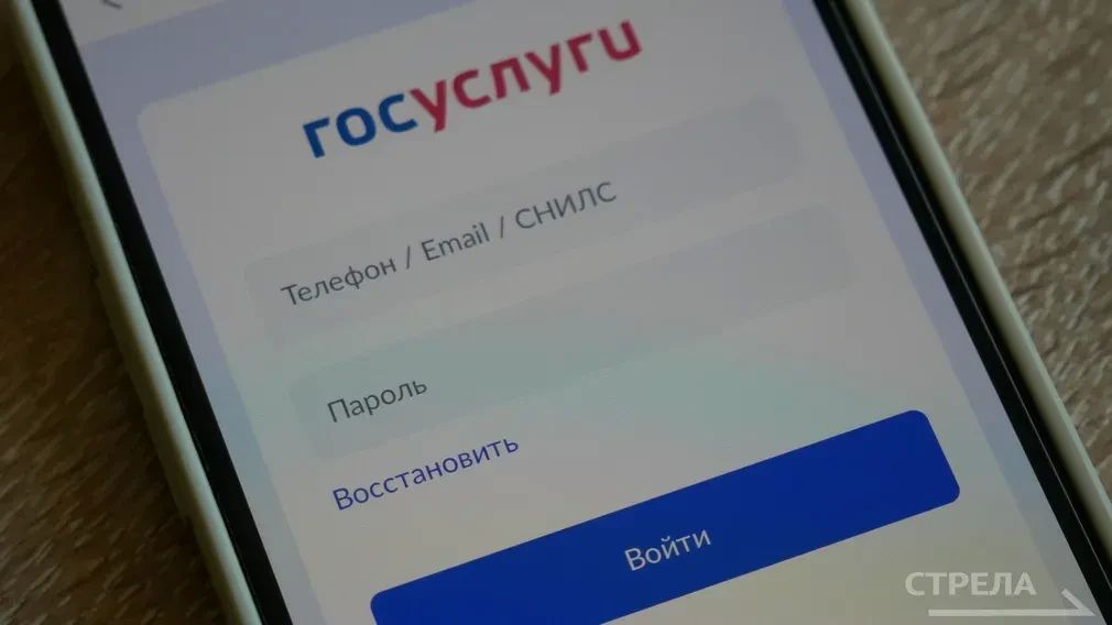 С начала нового учебного года брянские школы и колледжи переходят на использование единого мобильного приложения «Госуслуги Моя школа»