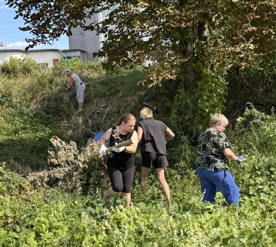 Город преобразился на глазах Город преобразился на глазах