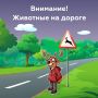 Приятно ехать по трассе, любуясь зелёным морем полей или величавым лесом