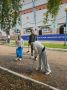 Коллектив департамента встретил сегодняшний день субботником