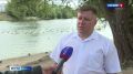 Брянцев попросили кормить уток правильно