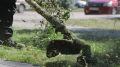 Мэрия Брянска о покосе травы: скашивают вовремя и аккуратно