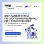 На Госуслугах открылась запись на курсы программирования для подростков «Код будущего»