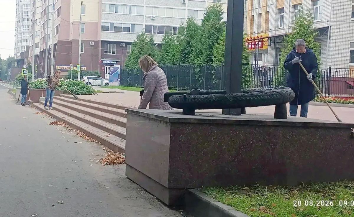 В сквере Челюскинцев посадили новые клёны В сквере Челюскинцев посадили новые клёны