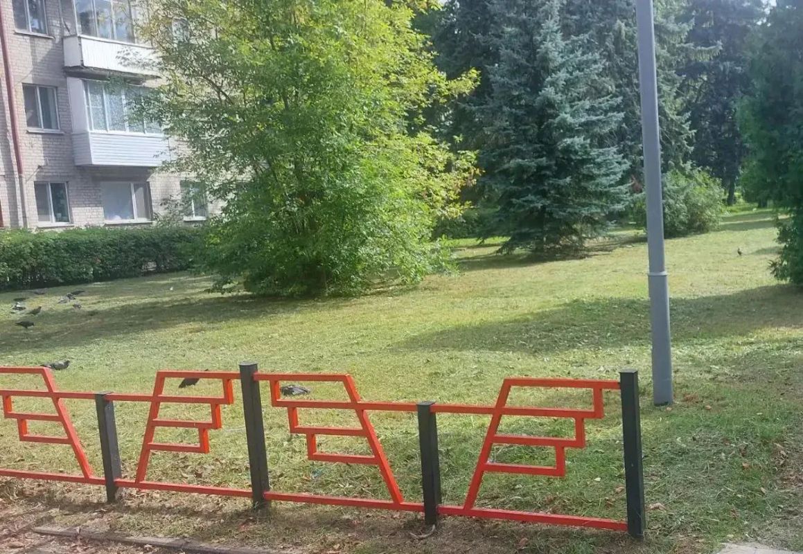 В сквере Челюскинцев посадили новые клёны В сквере Челюскинцев посадили новые клёны